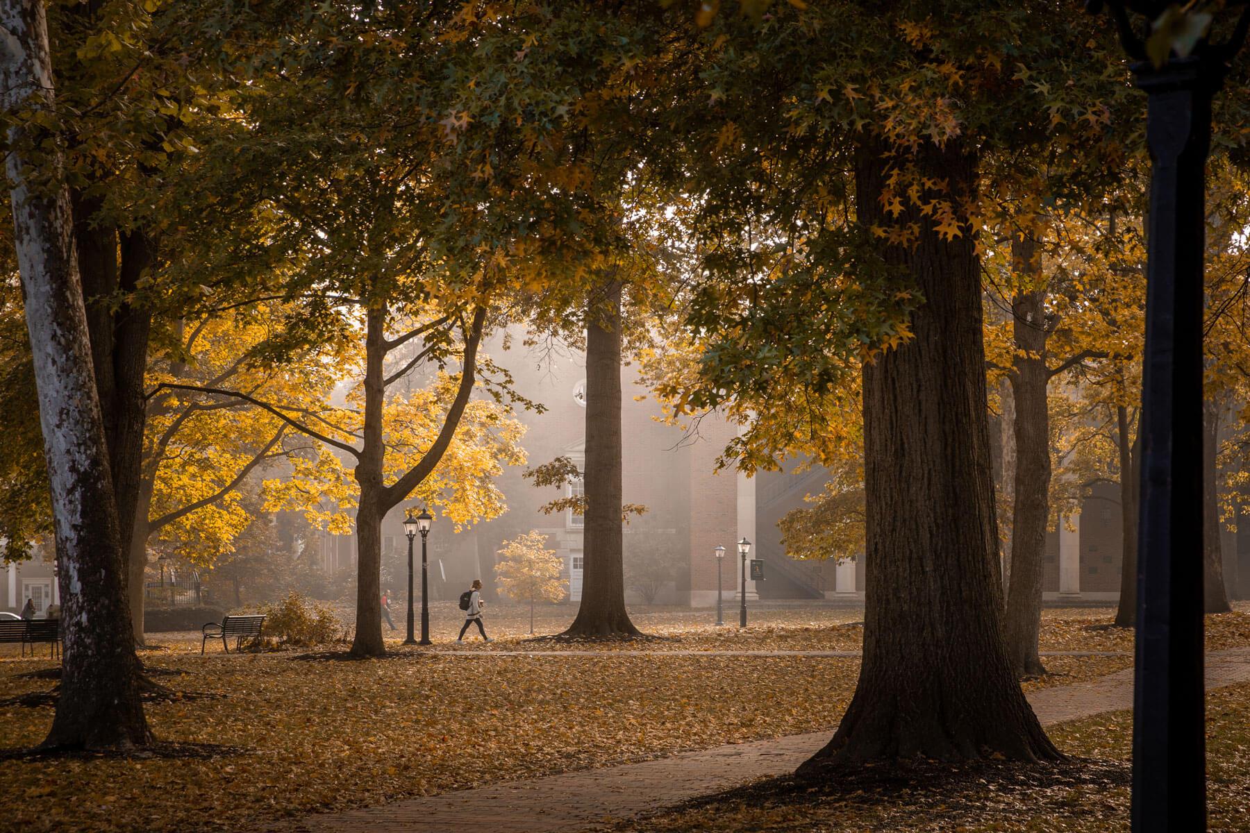 A student walks on the sidewalk at College Green in the fall