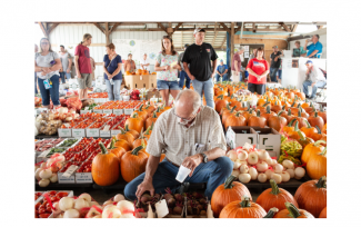 A man kneels to inspect pumpkins at the Produce Auction.