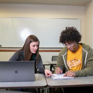 Two students work on a computer together