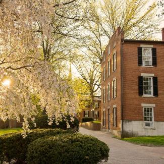 A view of McGuffey Hall in the spring with trees in bloom and the sunshine peeking through a branch.