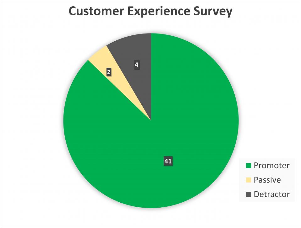 Pie chart of customer experience surveys, summarized below.