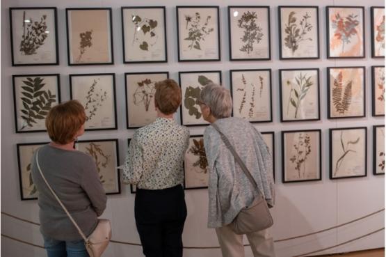 Visitors look at different plant specimens on display of a museum wall