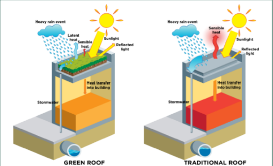 Estimating the environmental effects of green roofs