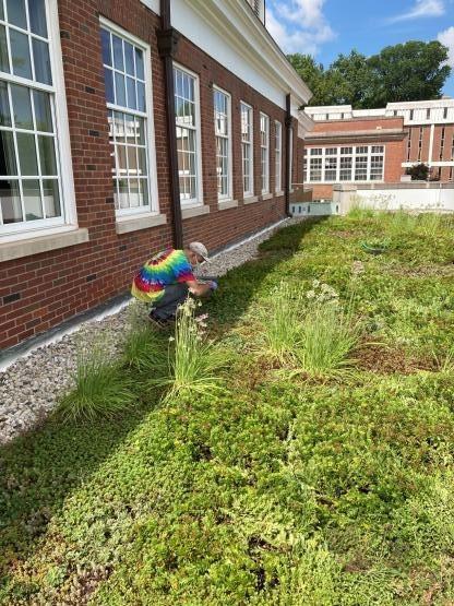 Patton Hall Green Roof, 2020