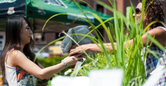Two women exchange plants at a farmers market in Athens, Ohio