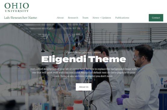 Openscholar website theme preview for Eligendi