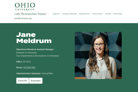 OpenScholar website theme preview for Meldrum
