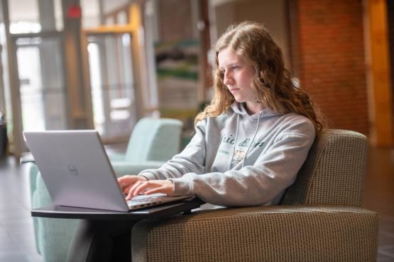 student sitting at a desk with laptop