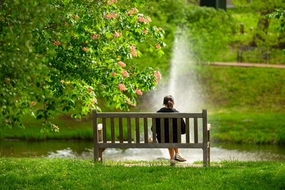Person sitting at a park bench in Emeriti Park