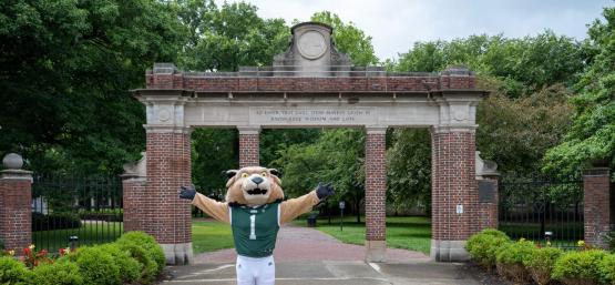 Rufus Bobcat standing in front of Alumni Gateway