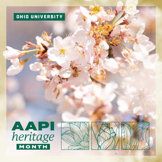 AAPI Month Logo 