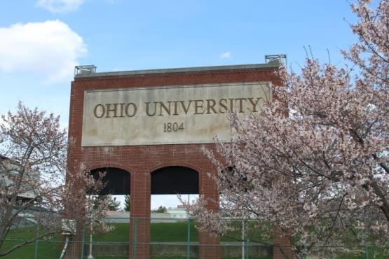 Cherry Trees at Ohio University