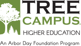 Tree Campus Higher Education Logo