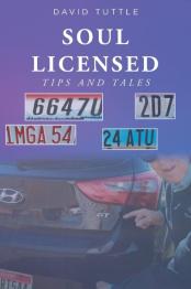Person pointing at car license at bottom with multiple license plate examples at top with title.