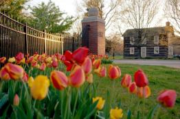 Ohio University Campus in the Spring