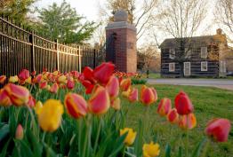 Flowers blooming across from the Bingum House at Ohio University Athens Campus