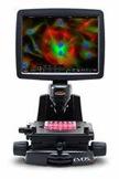 AMG Digital Fluorescence Microscope 