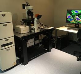 Confocal Microscope