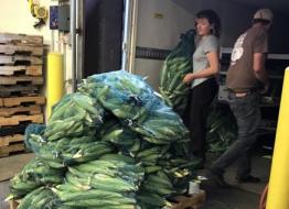 Fresh local corn being delivered to Ohio University's Central Food Facility