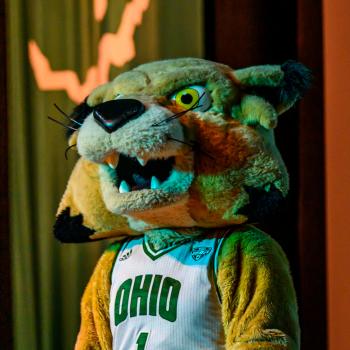 Rufus on stage in Memorial Auditorium