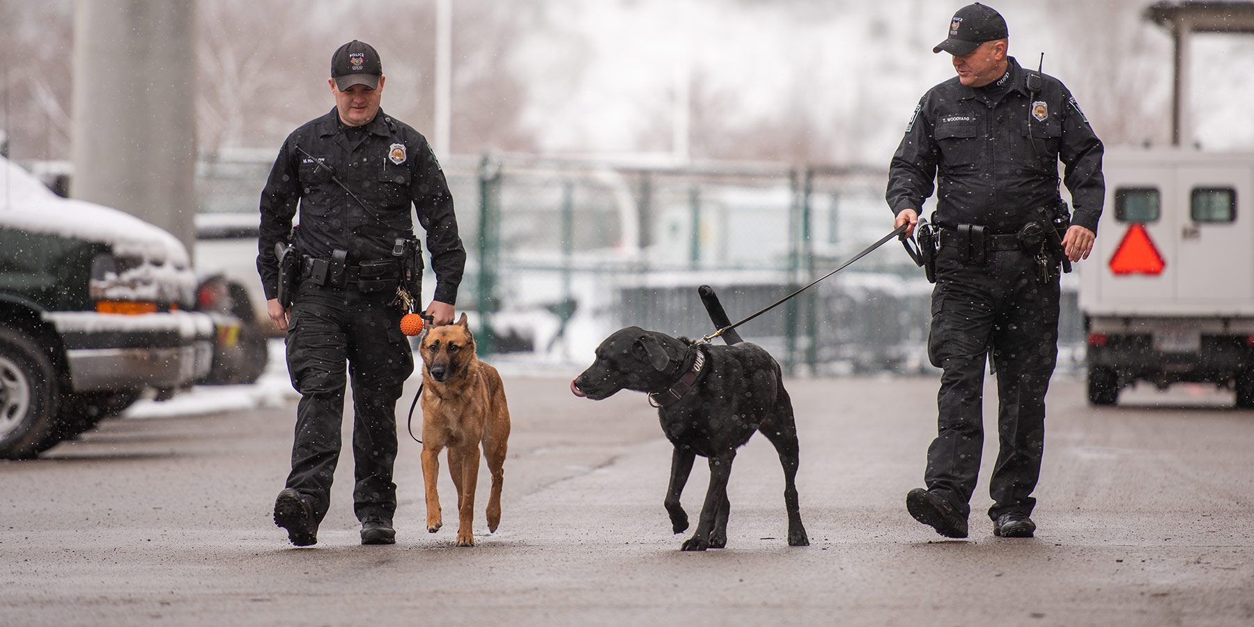 Two OUPD K9 officers and their dogs on a walk