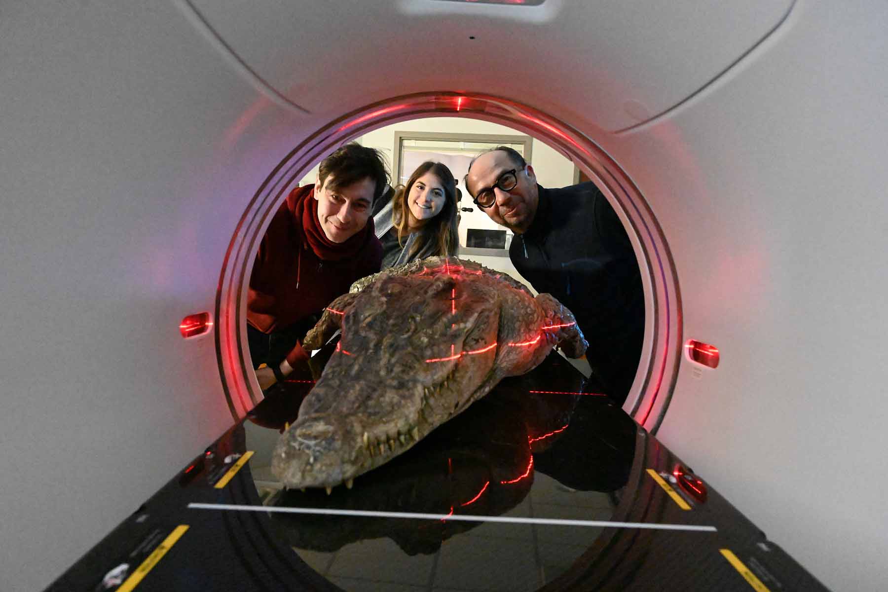 Researchers look on as a crocodile specimen is sent through a CT scan