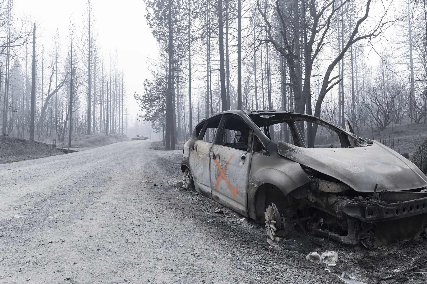 A fire-damaged car sits on the roadside in a bleak forest scene scarred by wildfires