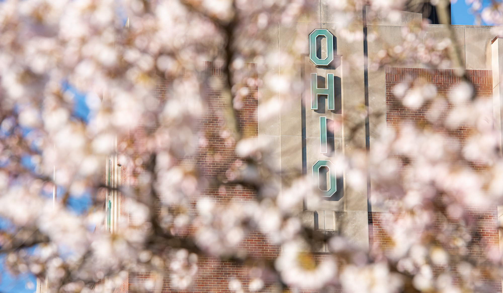 The word "OHIO" on the side of Peden Stadium as seen through a Cherry Blossom tree