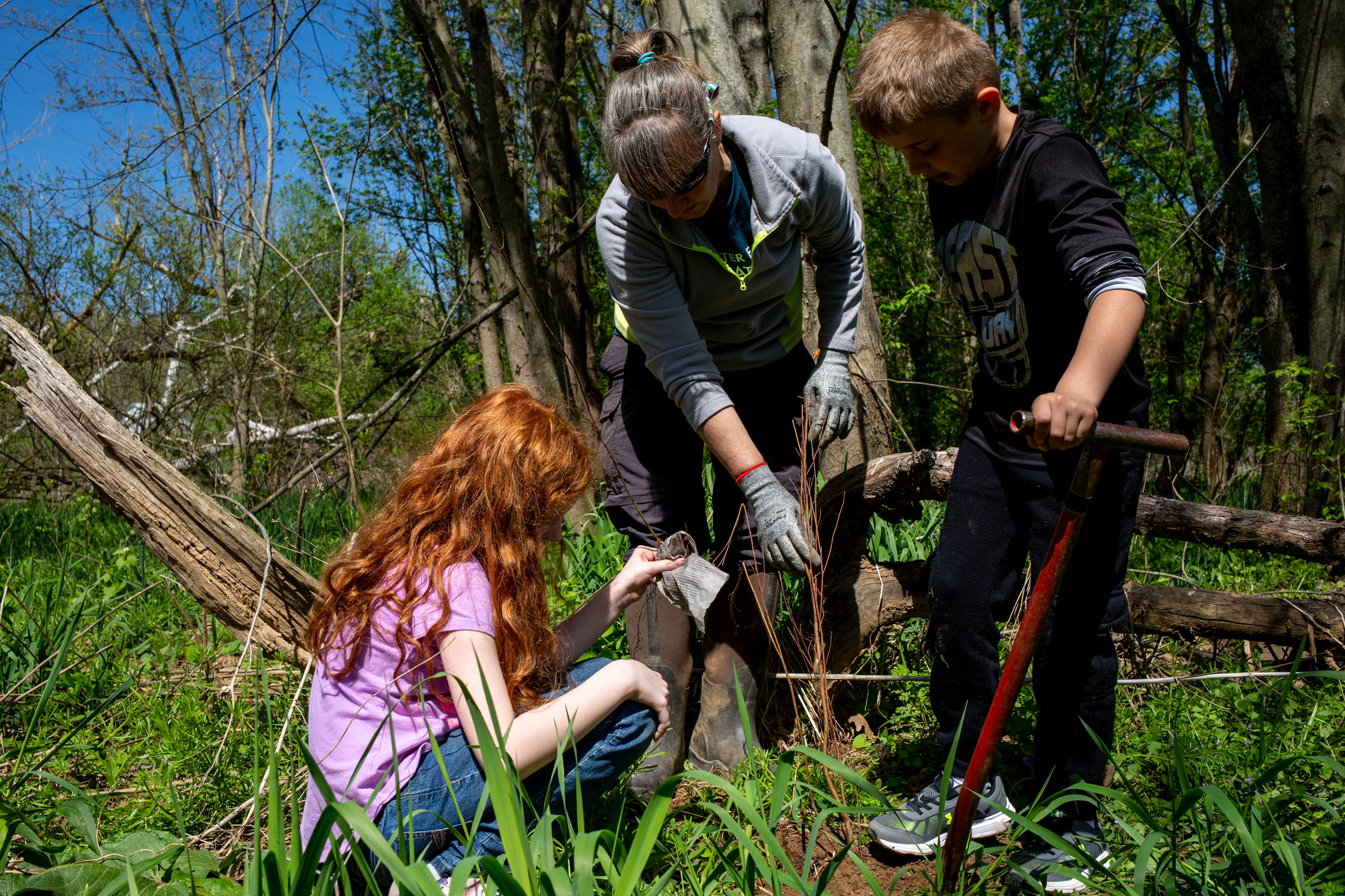 Students plant trees at a local school.
