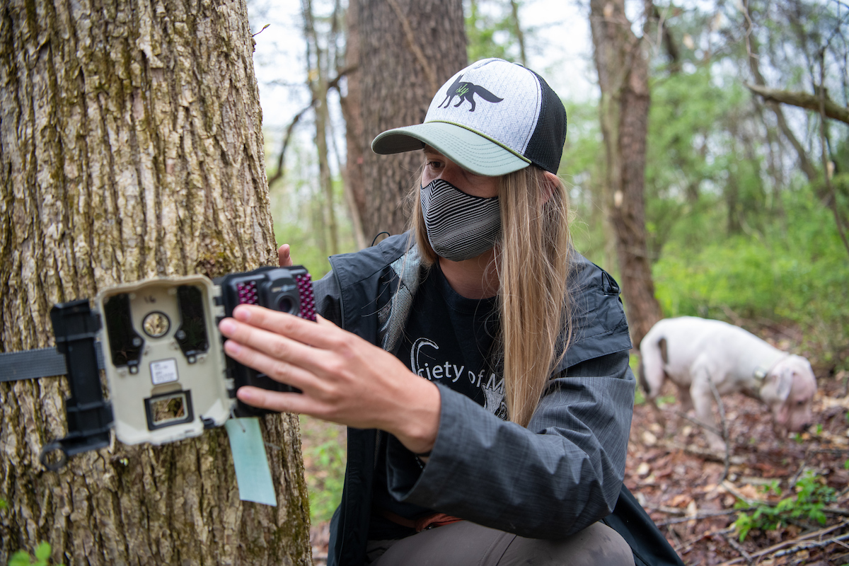A woman with long blonde hair, wearing a ballcap and mask, sets up a camera machine in the woods with a dog behind her