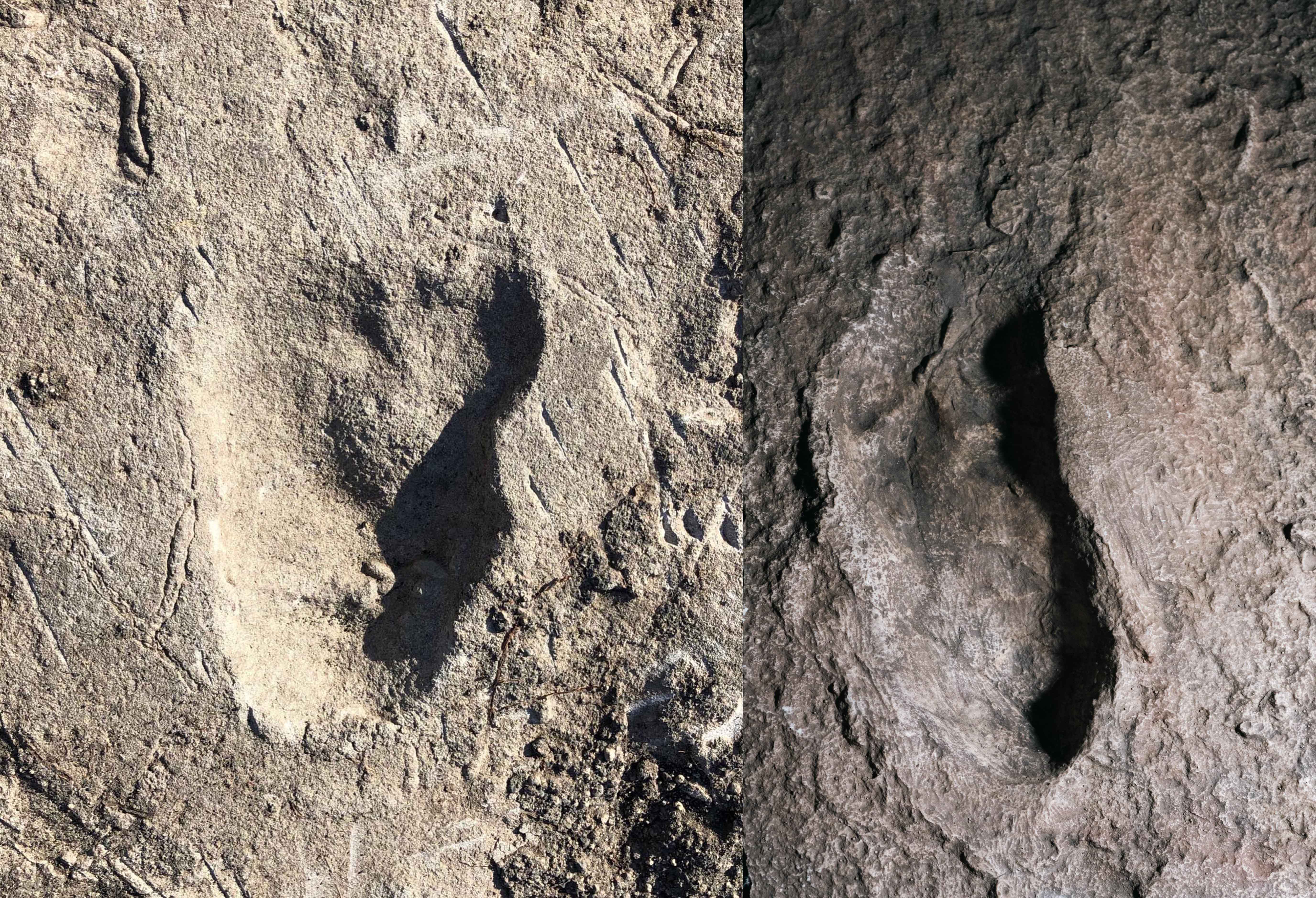 Images of Laetoli's footprint