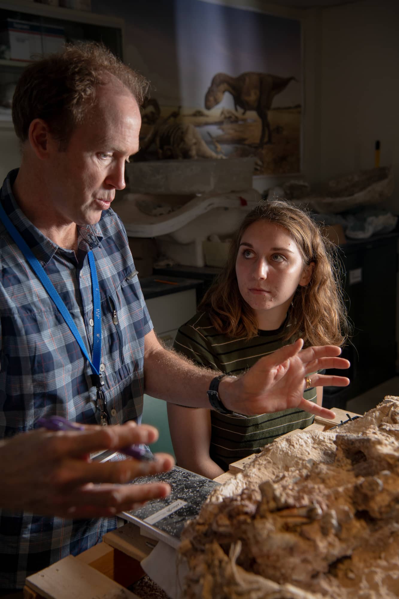 Patrick O'Connor, Ph.D., examines a block of sandstone from Southern Africa that contains small dinosaur skeletons with undergraduate student Suzy Aftabizadeh. The skeletons must be carefully removed from the encasing rock prior to anatomical study.