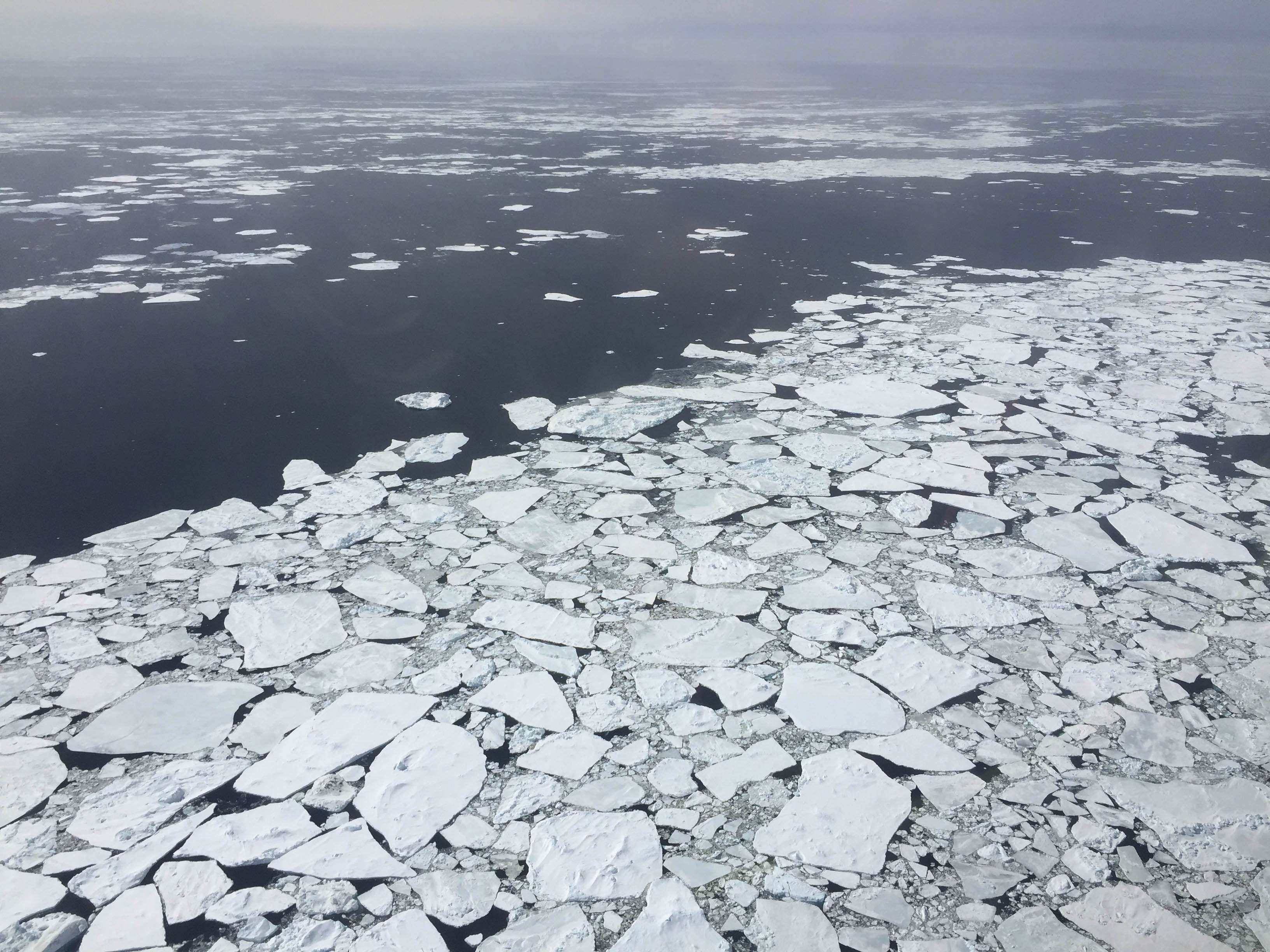 Broken ice floes in the Antarctic