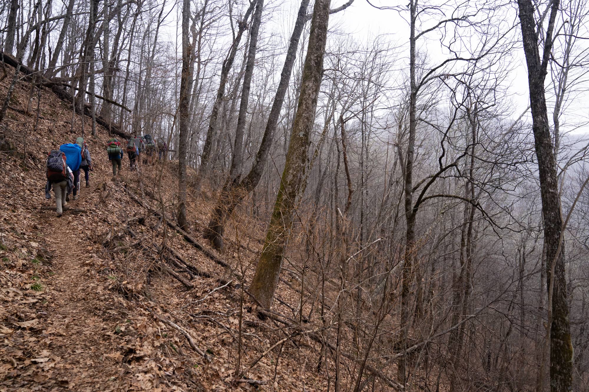 Ohio University students gain elevation during their third day backpacking a section of the Appalachian Trail in the Nantahala National Forest on Monday, March 7, 2022, near Franklin, North Carolina.