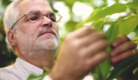 Dr. Dean Dellapenna analyzes a plant