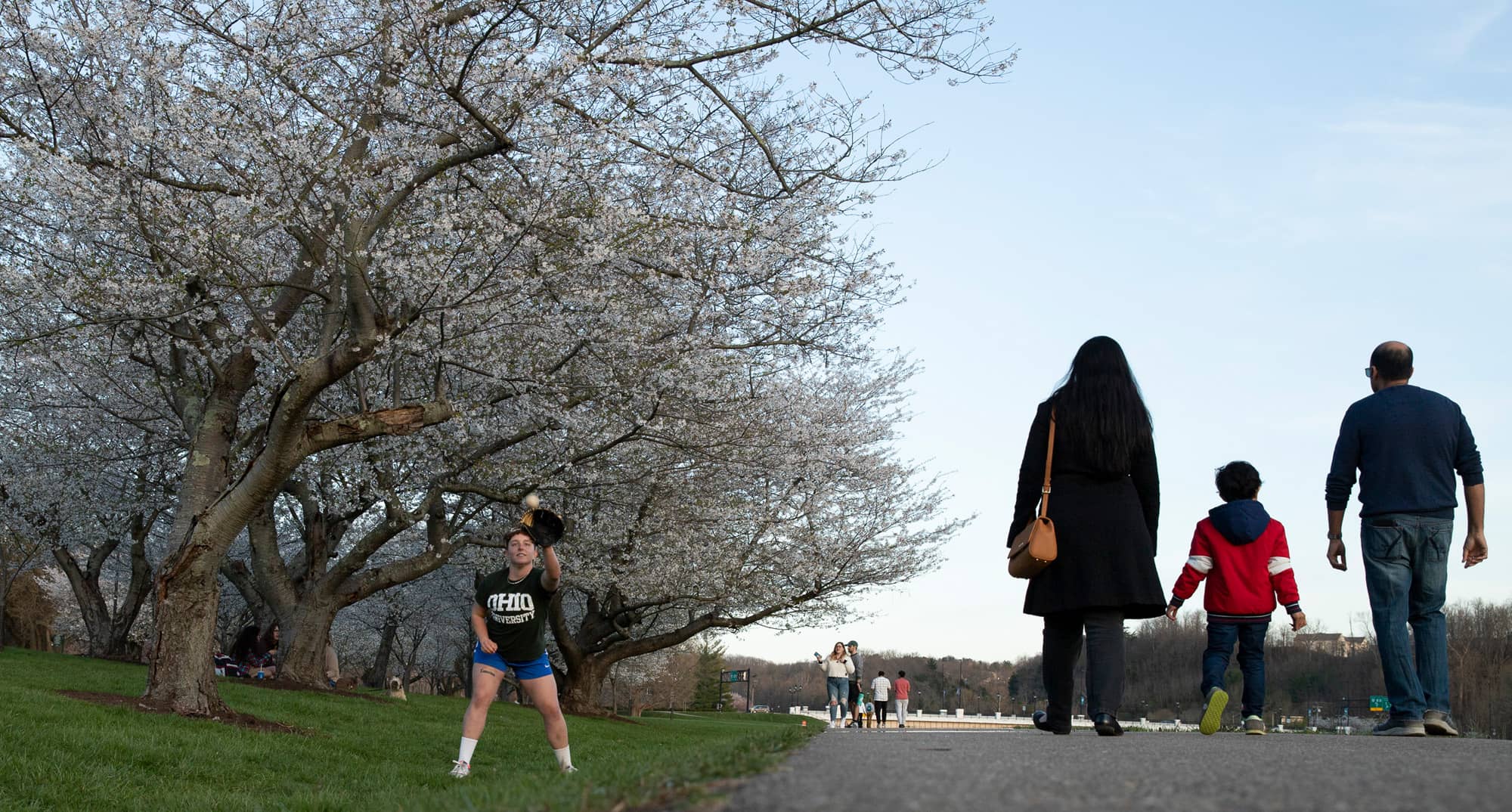 People enjoy the Cherry Blossom Trees on Sunday, April 10, 2022, in Athens, Ohio
