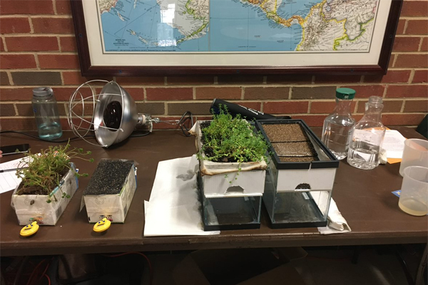 Models of a green roof project are shown at an open house.