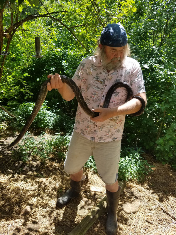 Scott Moody on his farm measuring a rat snake that is close to an Ohio record. Photo courtesy of Rose Isgrigg.