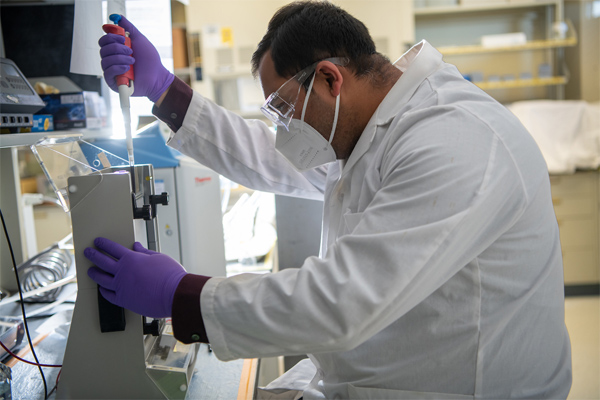 Md. Ismail Hossain working in lab