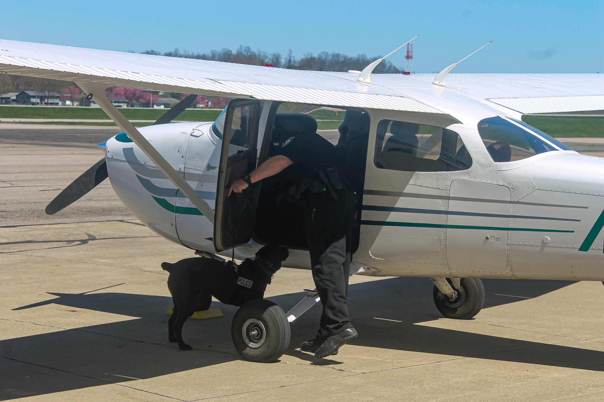 A police dog looks in a plane