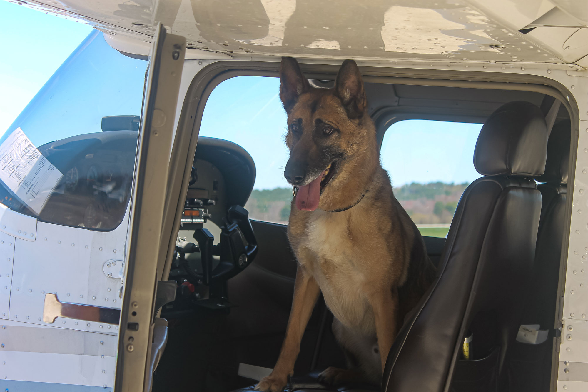 Police dog in OHIO airplane