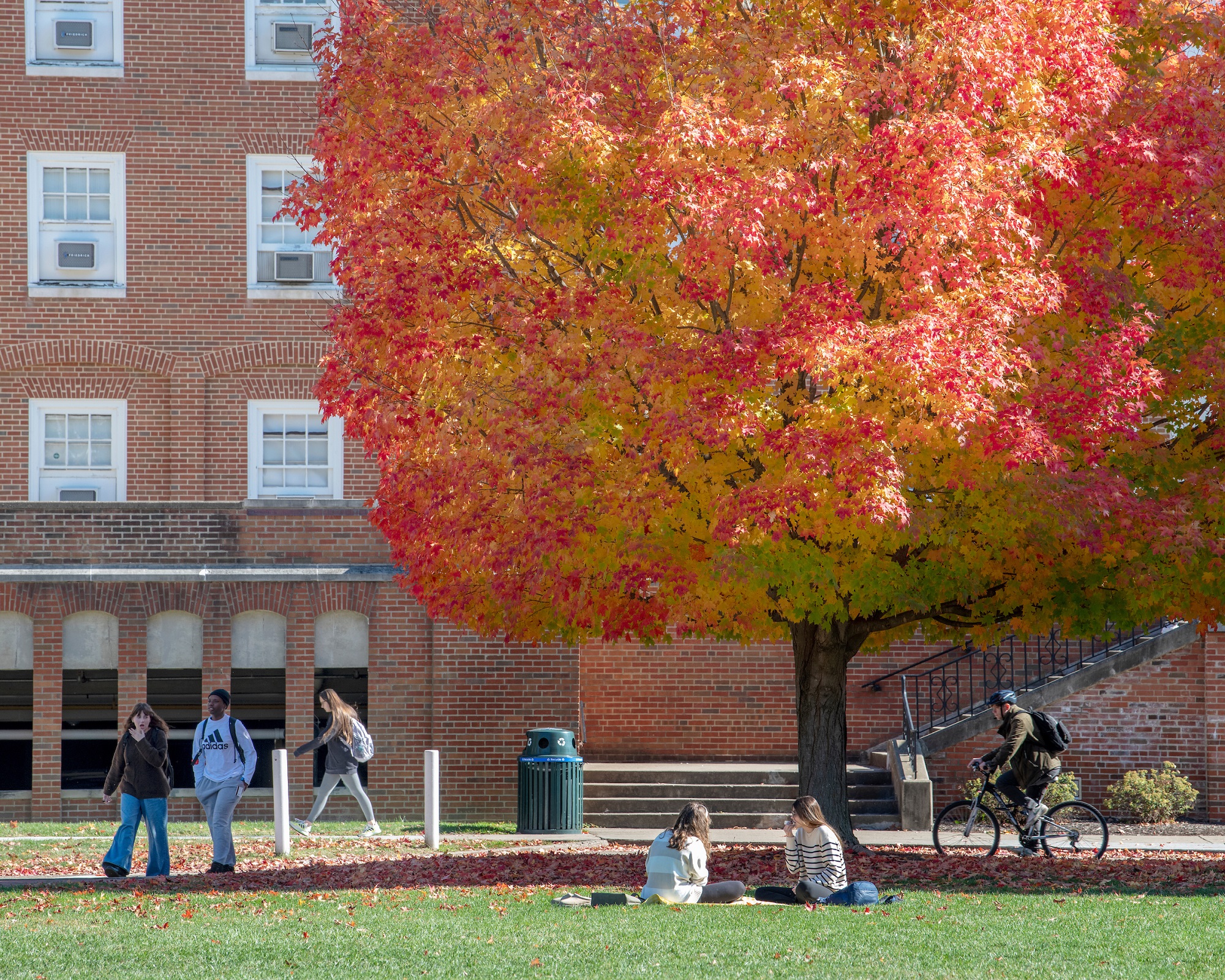 A photo of students on Ohio University's Athens Campus during fall