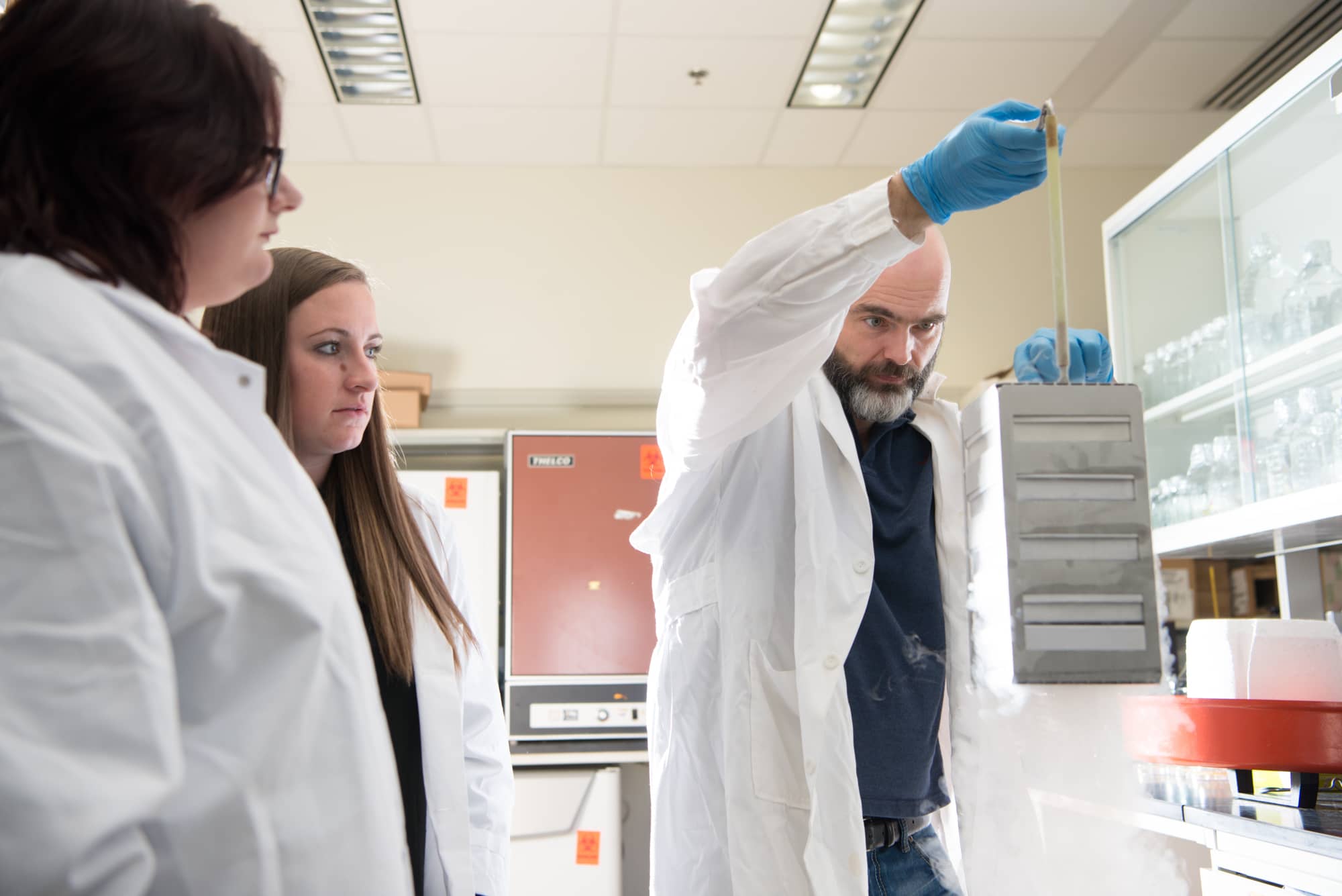 Ronan Carroll, Ph.D., along with two other researchers