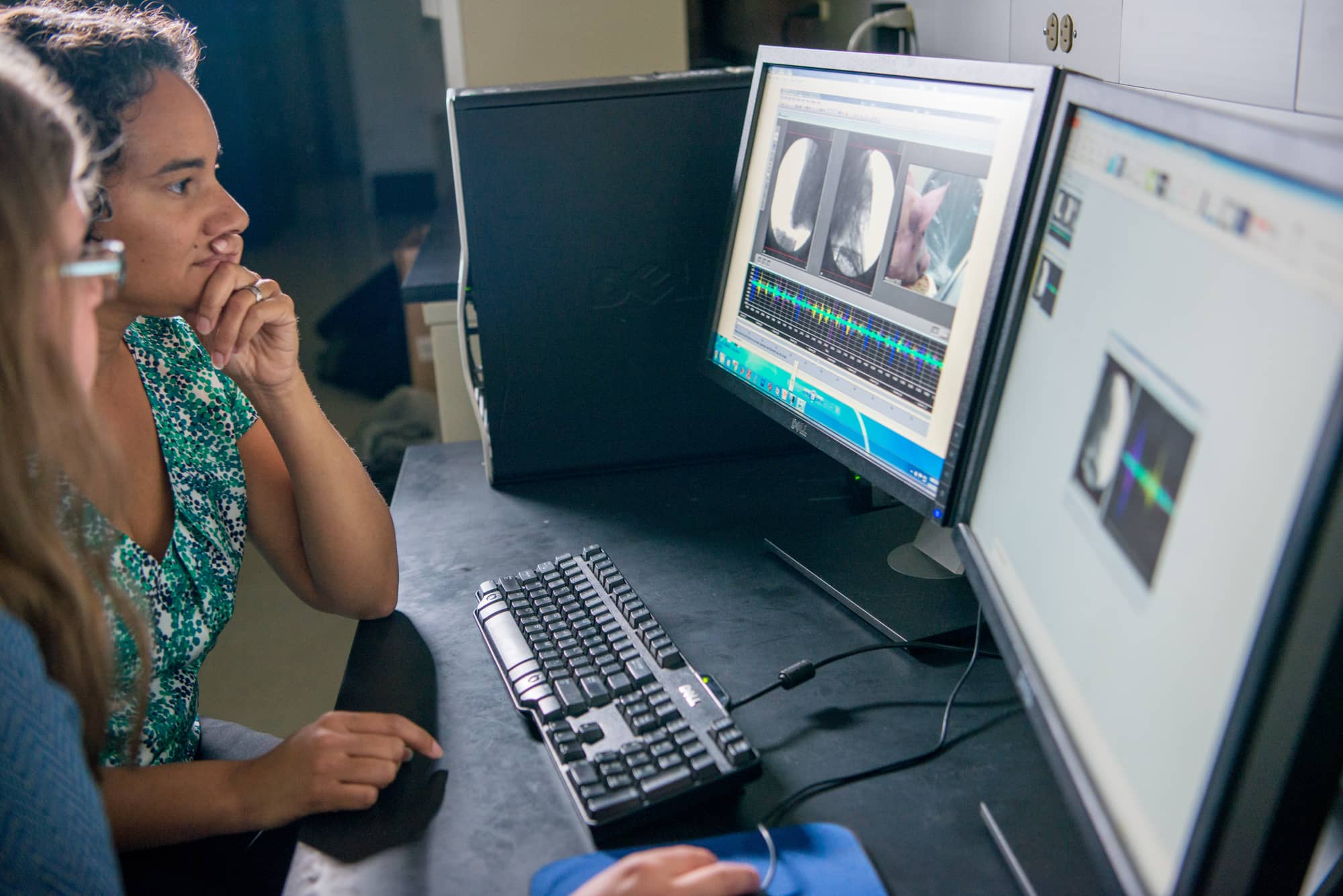 Heritage College Professor of Anatomy Susan Williams, Ph.D., studies the functional morphology, biomechanics and physiology of feeding in vertebrates to understand the factors driving evolutionary changes in the skull.