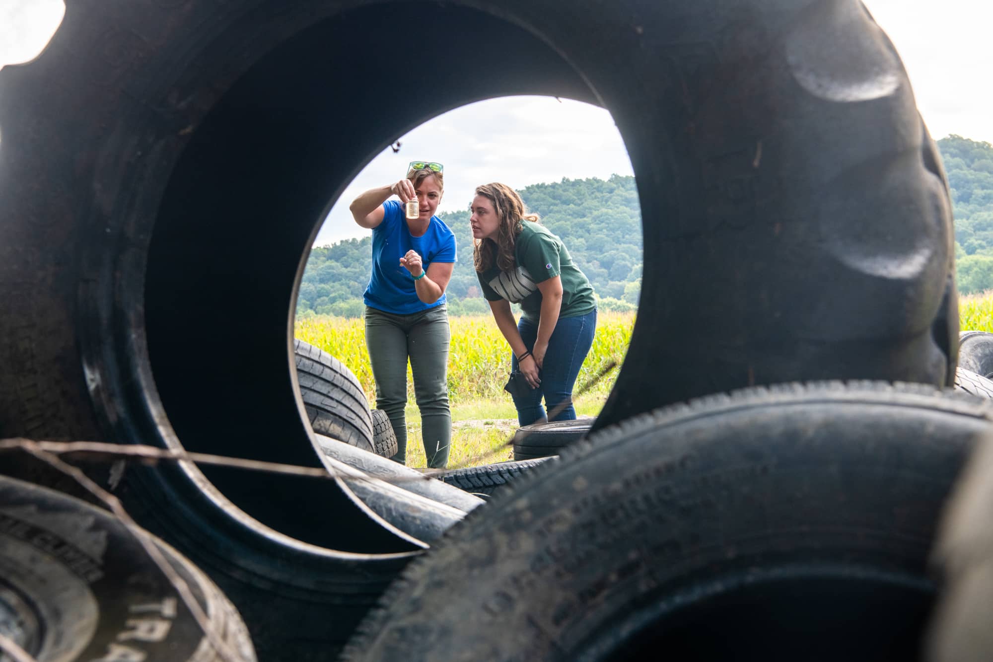 Arts and Sciences Assistant Professor of Instruction and OHIO Honors Coordinator Bekka Brody, Ph.D., and her students have partnered with the Athens County Health Department to combat mosquito-borne illnesses in Ohio. 