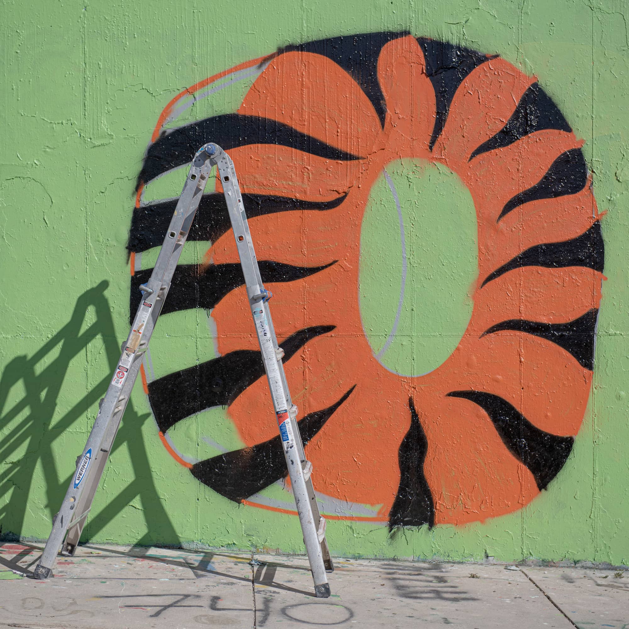 A mural in honor of Joe Burrow and the Cincinnati Bengals is in progress on the graffiti wall on the Ohio University campus.