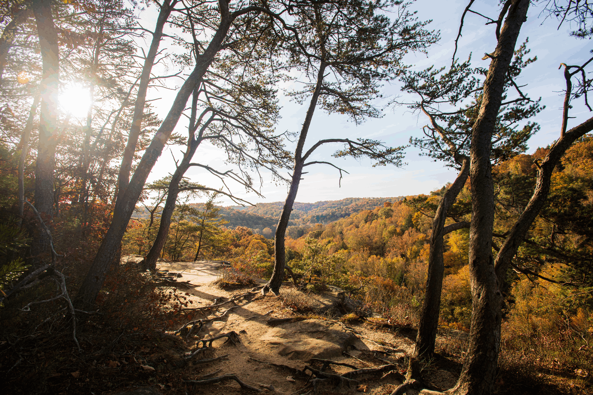 Fall colors viewed from an overlook at Conkles Hollow in the Hocking Hills. 