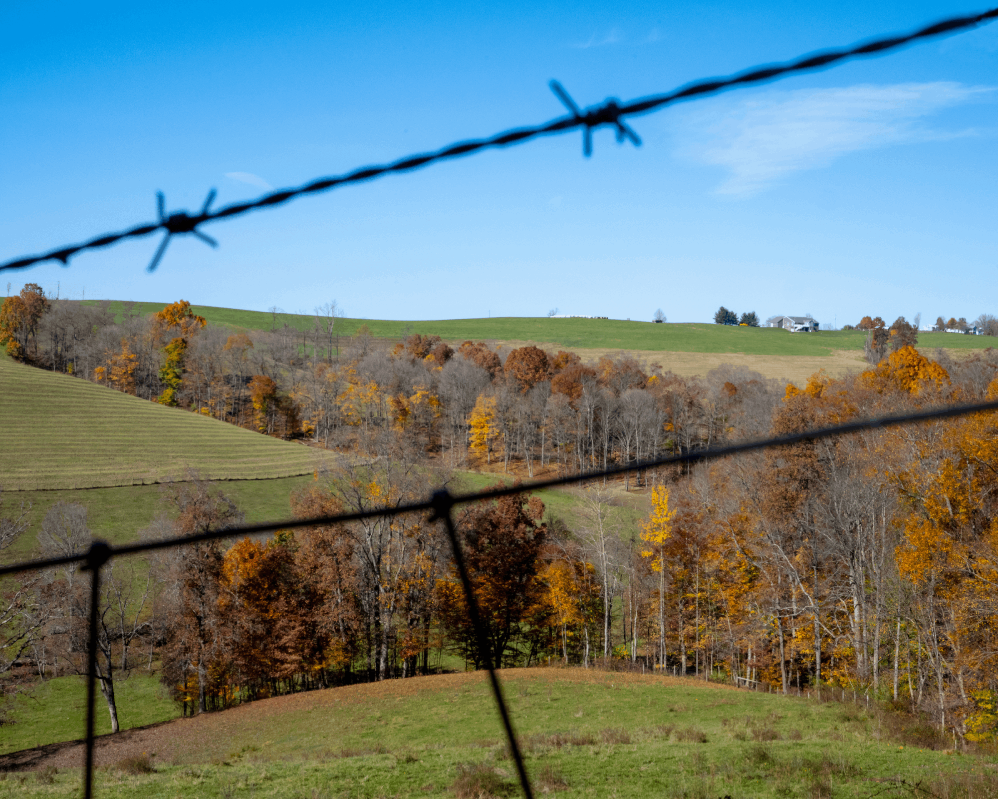 Fall colors viewed through a fence at Dysart Woods in Belmont County, near Ohio University’s Eastern Campus.