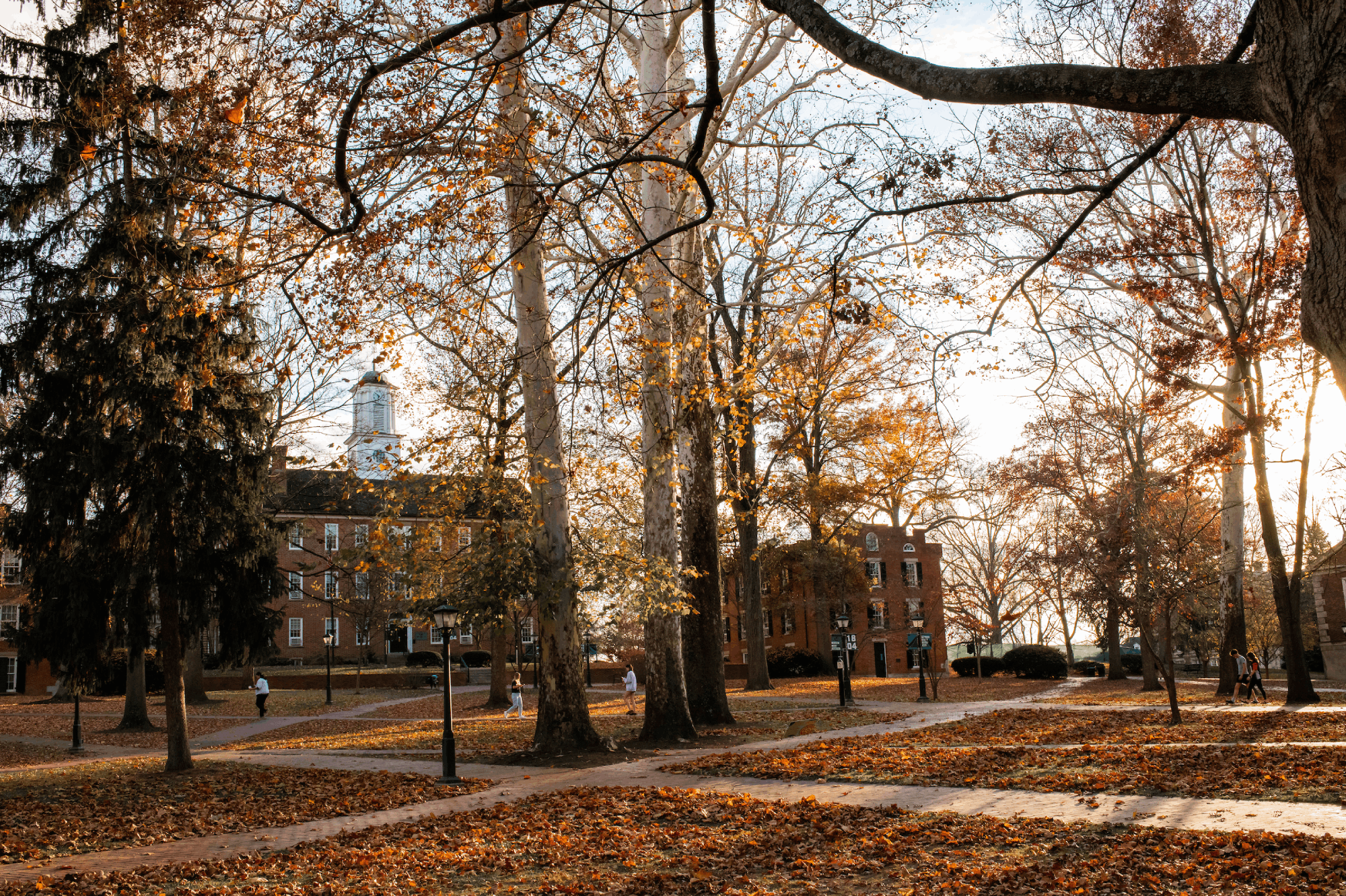 Cutler Hall appears through fall colors on the College Green.