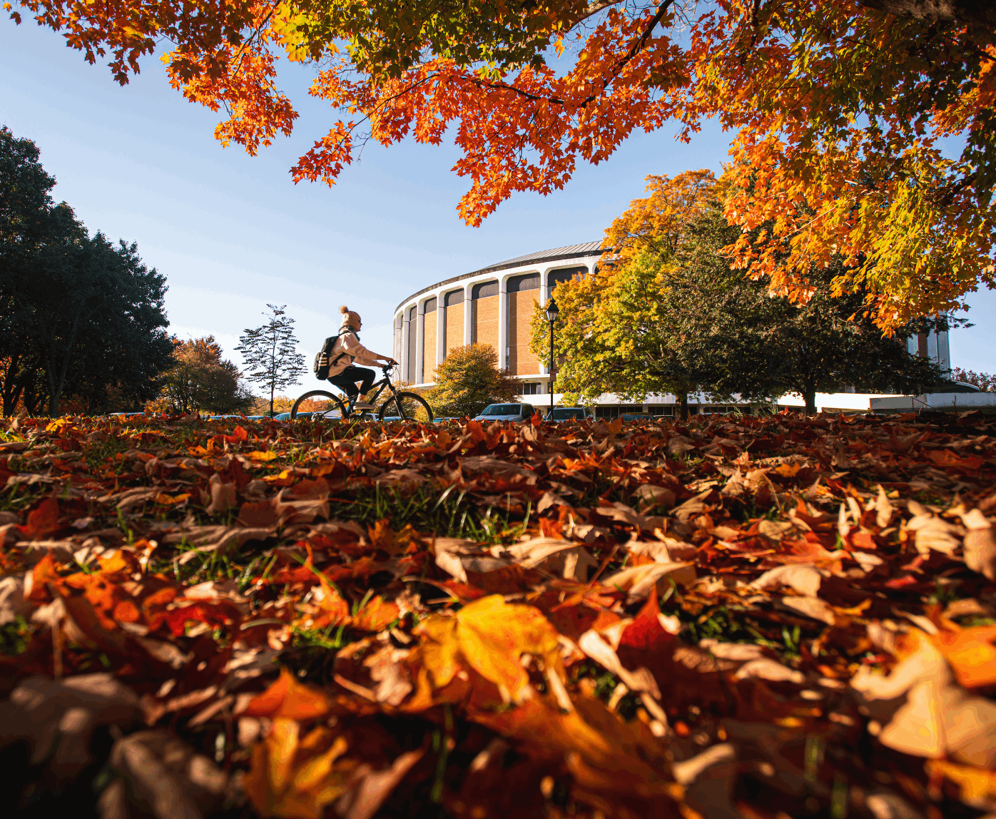 A student rides past the Convocation Center. 